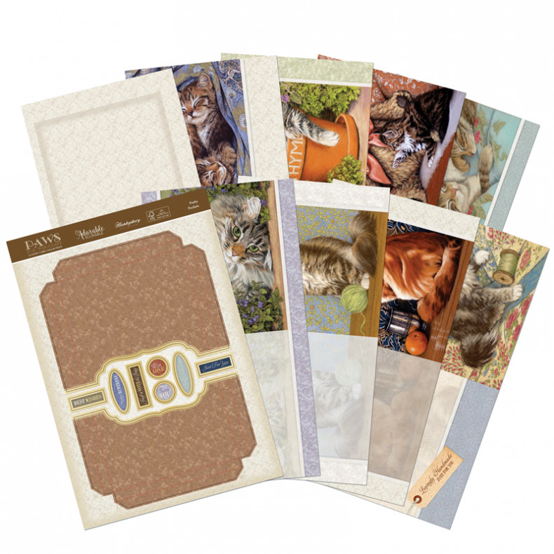 HD Paws for Thought Notelet Set